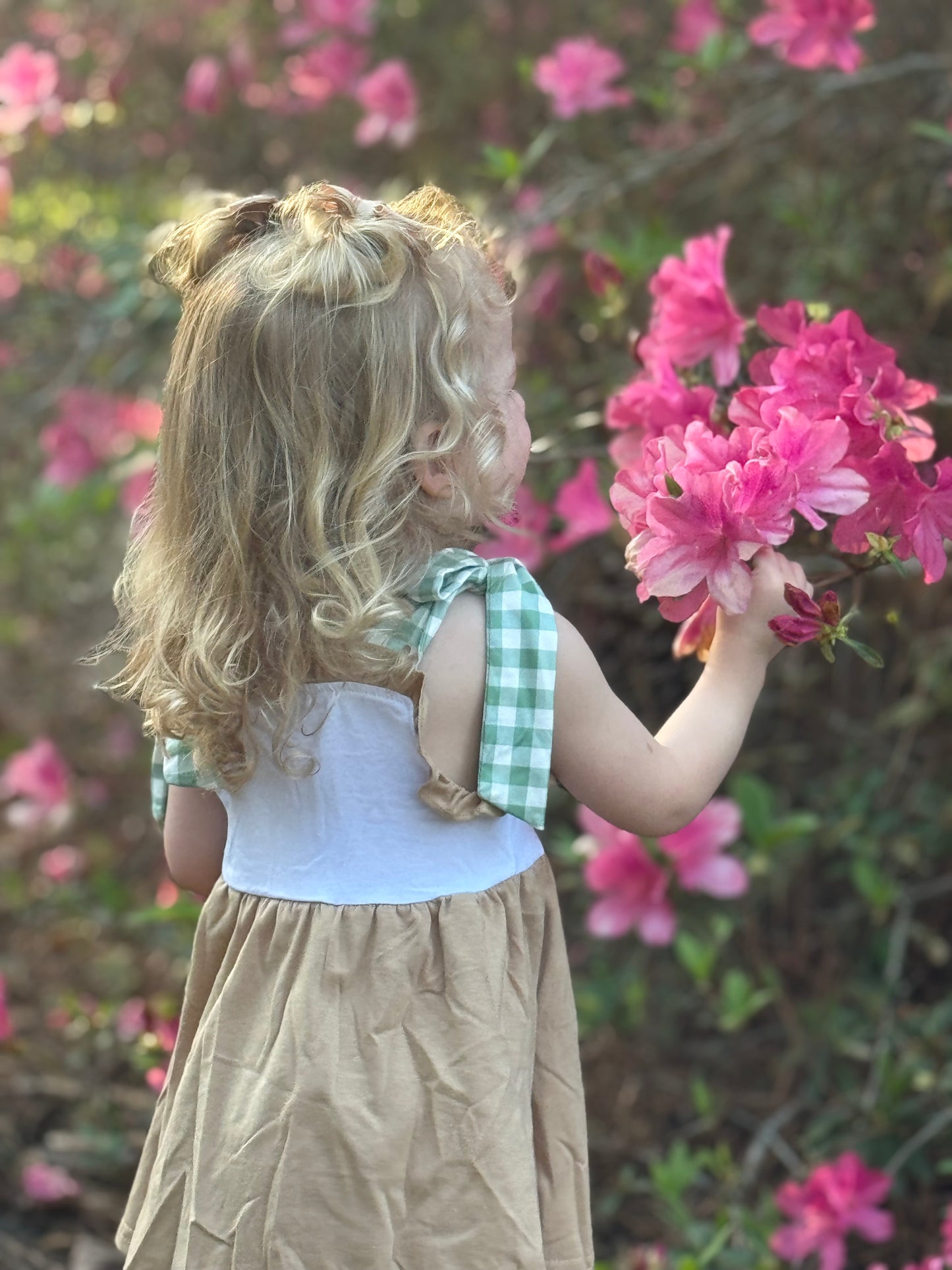 Mallard Duck Smocked Baby Girl Set